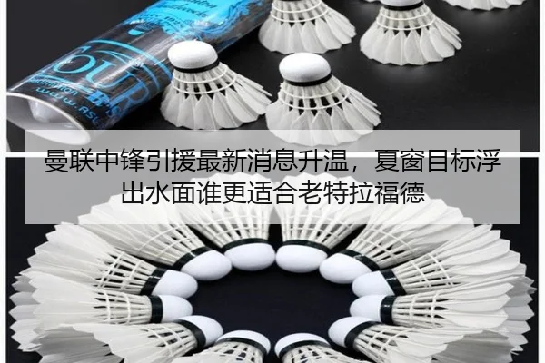 曼联中锋引援最新消息升温，夏窗目标浮出水面谁更适合老特拉福德